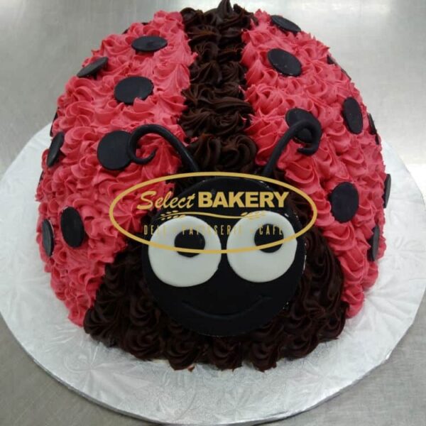 Birthday Cake- Ladybug Select 553