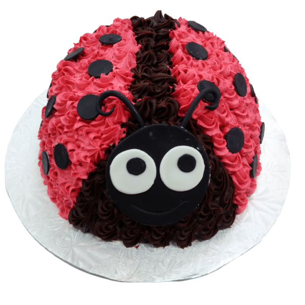 Ladybug-Birthday-Cake-553
